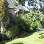 Screen Doors in Los Angeles