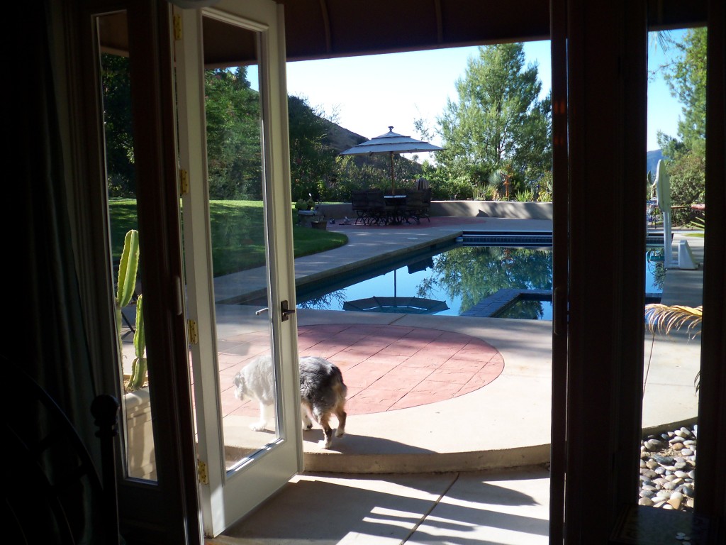 Screen Doors in Pacific Palisades Retractable Screen Doors