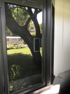 Door Screen