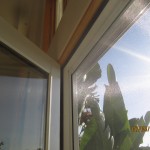 Interior View of Dissappearing Screen Doors in Northridge